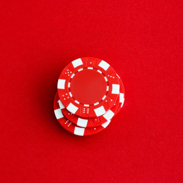 musang179 account dashboard showing Togel 3D history, balance, and support chat icon
